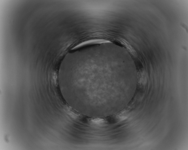 X0000096380669200801311300