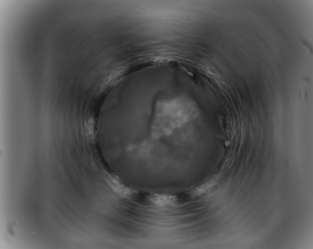 X0000096380670200801311300