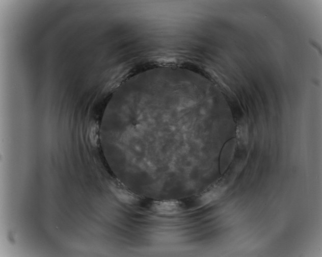 X0000096380671200801311300