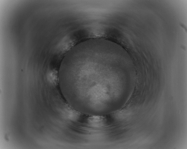 X0000096380672200801311300