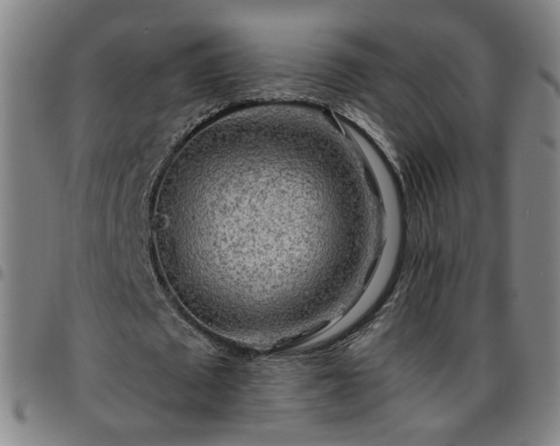 X0000096380673200801311300
