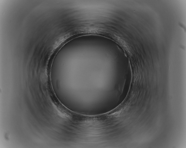 X0000096380674200801311300