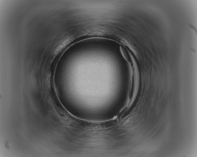 X0000096380675200801311300