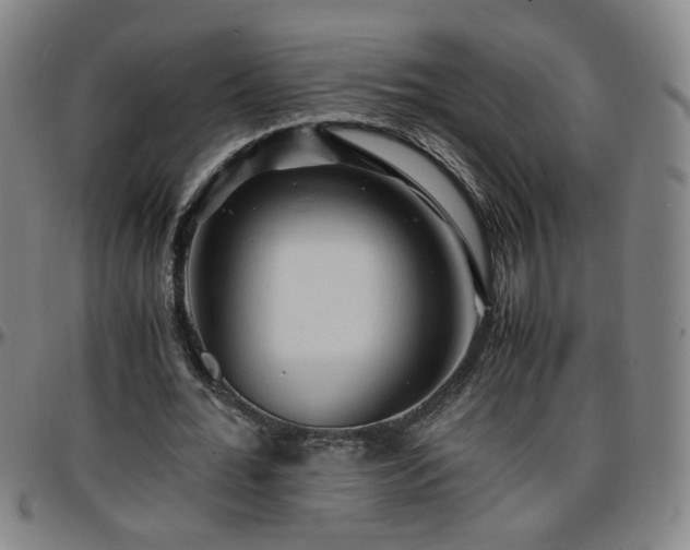 X0000096380676200801311259