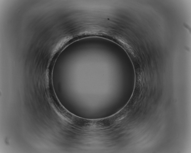 X0000096380678200801311259