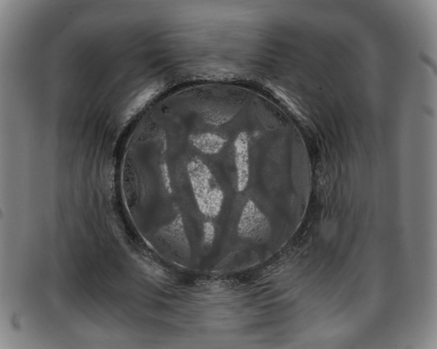 X0000096380679200801311259