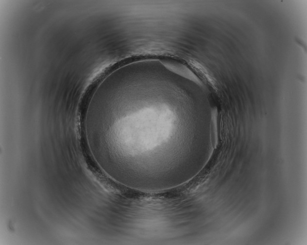 X0000096380680200801311259