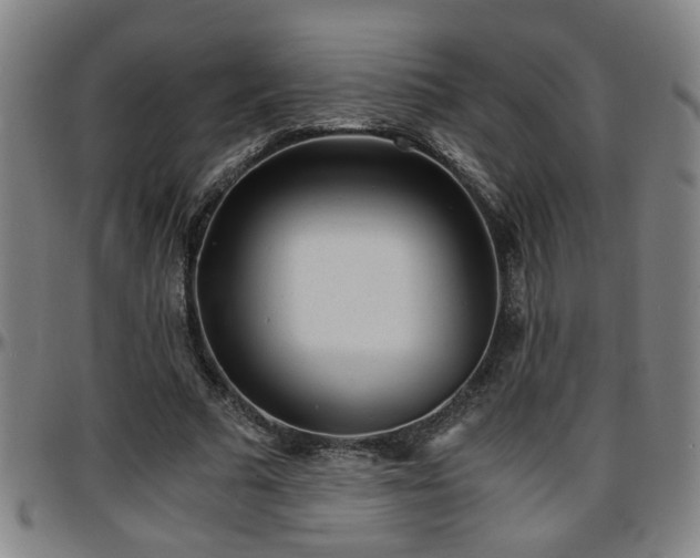 X0000096380681200801311259