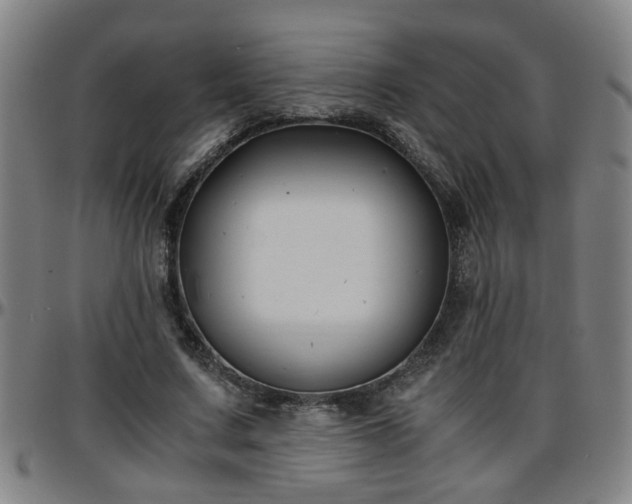 X0000096380683200801311259