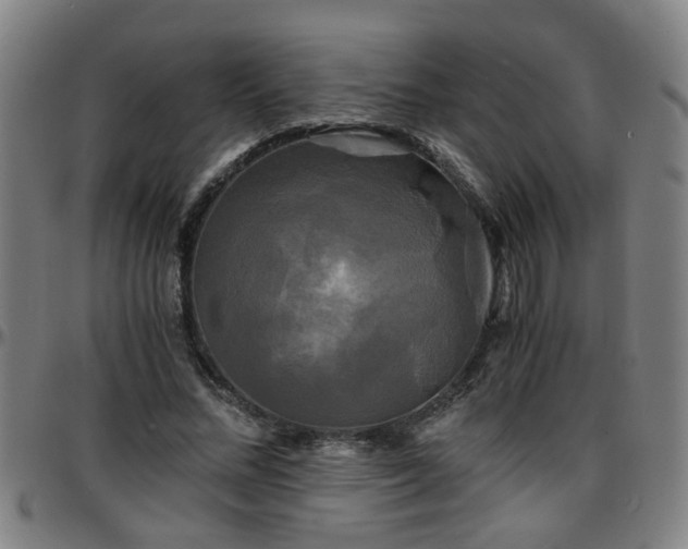 X0000096380684200801311259