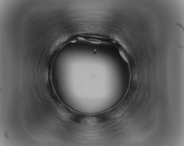 X0000096380685200801311259