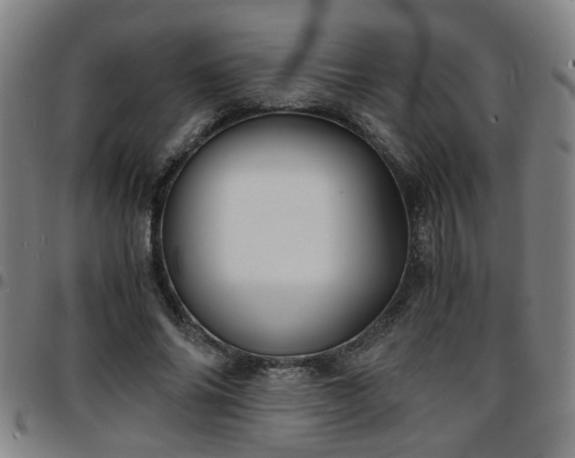 X0000096380686200801311259