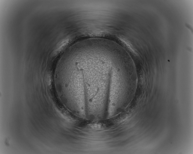 X0000096380687200801311259