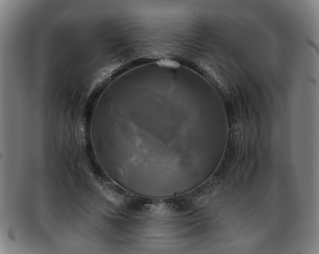 X0000096380688200801311259