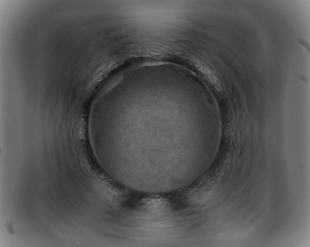 X0000096380689200801311259