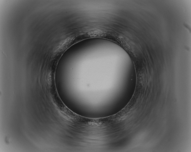 X0000096380690200801311259