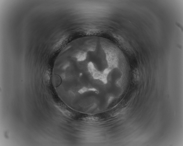 X0000096380691200801311259