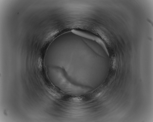 X0000096380692200801311259