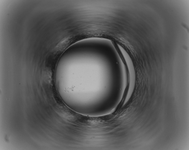 X0000096380693200801311259