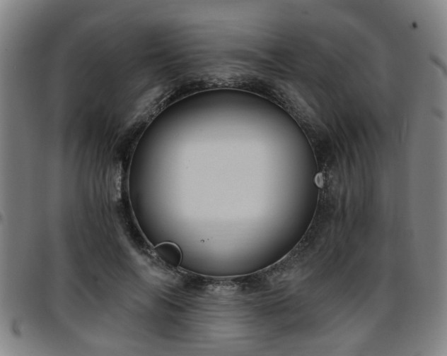 X0000096380694200801311259