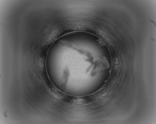 X0000096380695200801311259