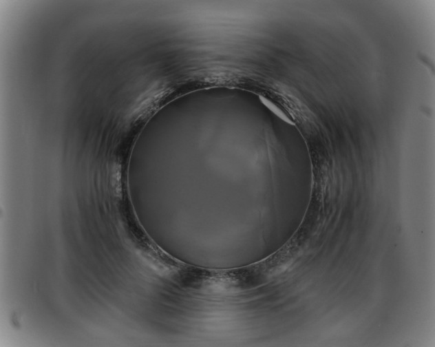 X0000096380696200801311259