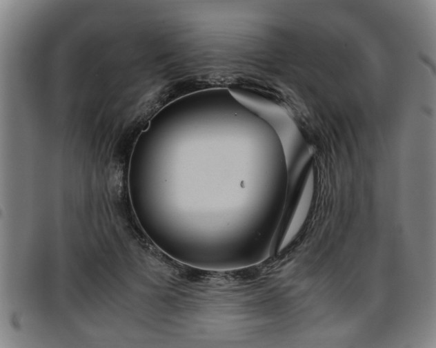 X0000096380697200801311259