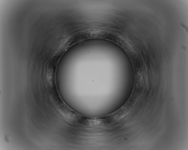 X0000096380698200801311259