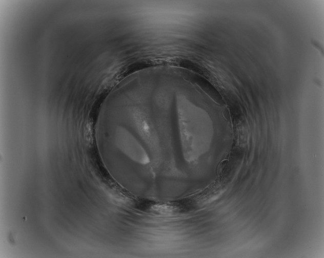 X0000096380699200801311259