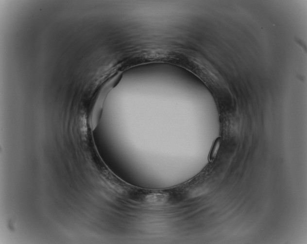 X0000096380700200801311259