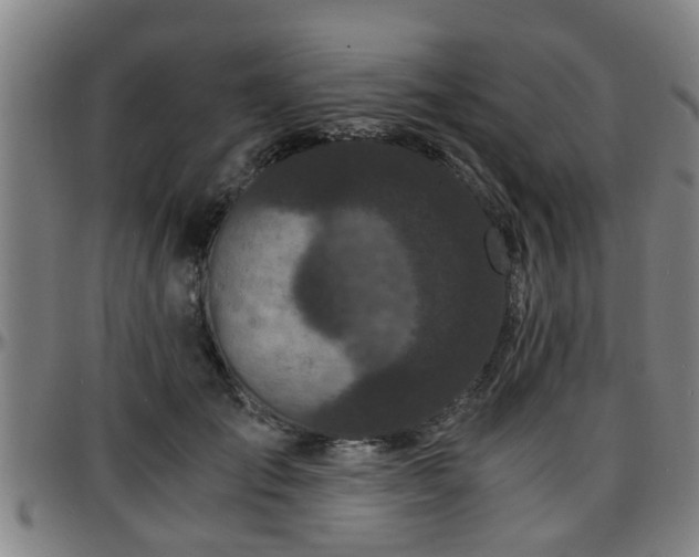 X0000096380701200801311259