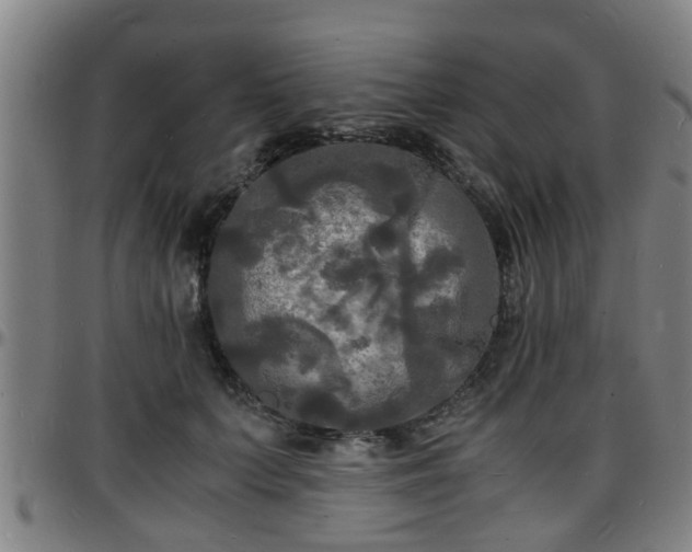 X0000096380703200801311259