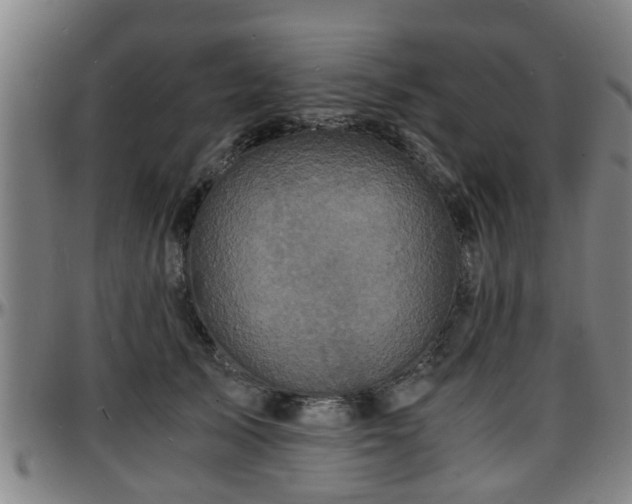 X0000096380705200801311259