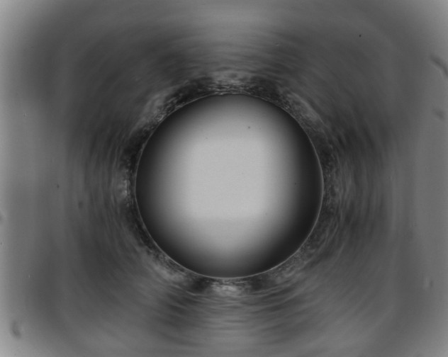 X0000096380706200801311259