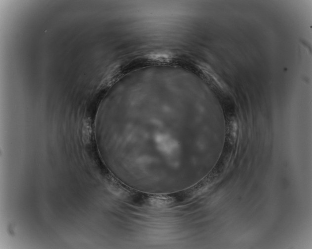 X0000096380707200801311259