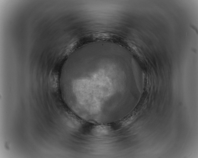 X0000096380708200801311259