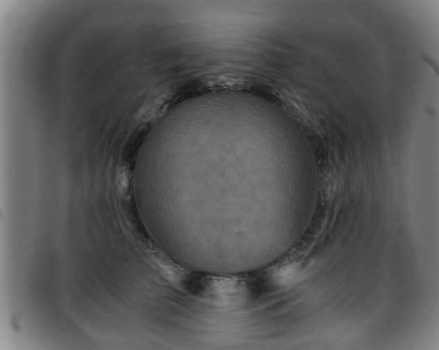 X0000096380709200801311259