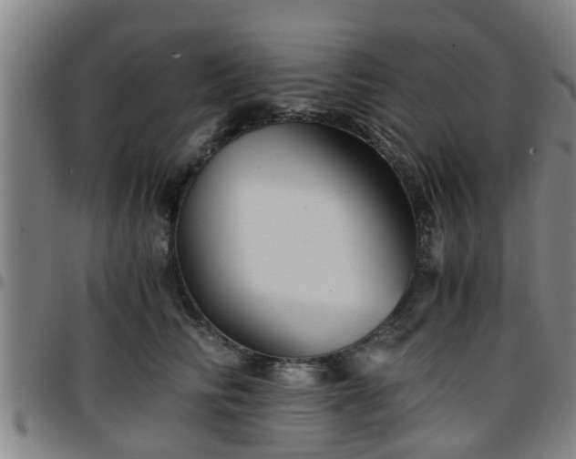 X0000096380710200801311259