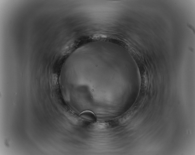 X0000096380711200801311259