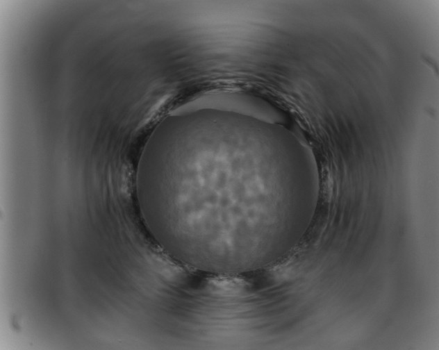 X0000096380712200801311259