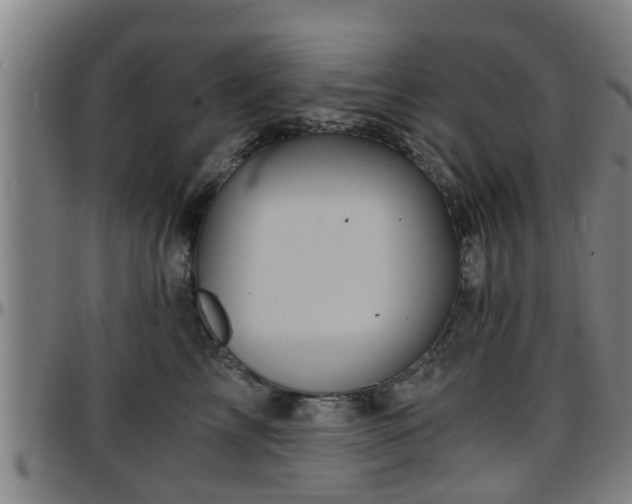 X0000096380713200801311259