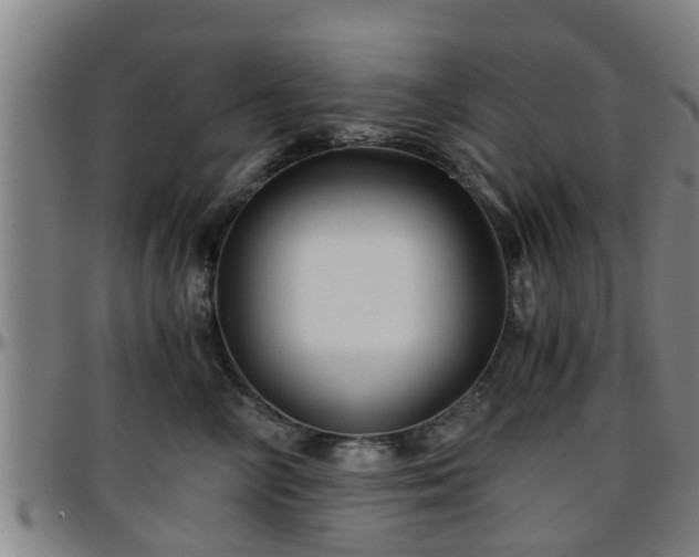X0000096380714200801311259