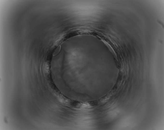 X0000096380715200801311259