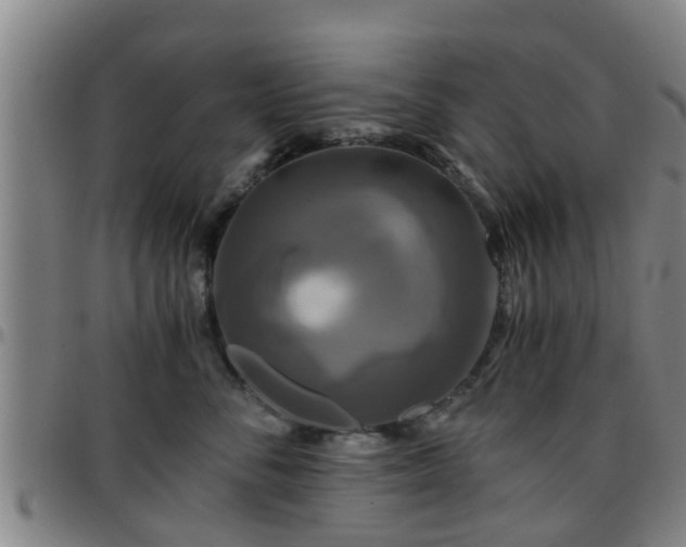 X0000096380716200801311259