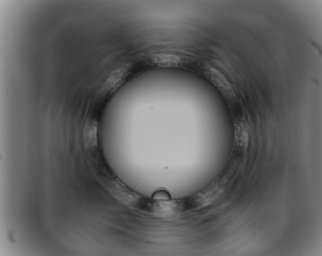 X0000096380717200801311259