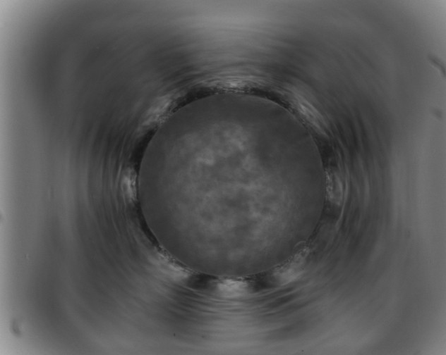 X0000096380718200801311259