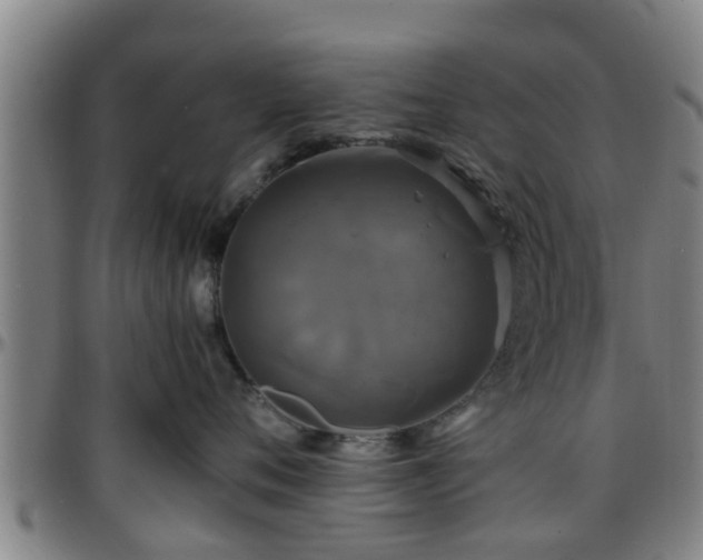 X0000096380720200801311259