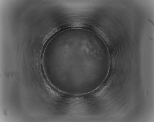 X0000096380721200801311258