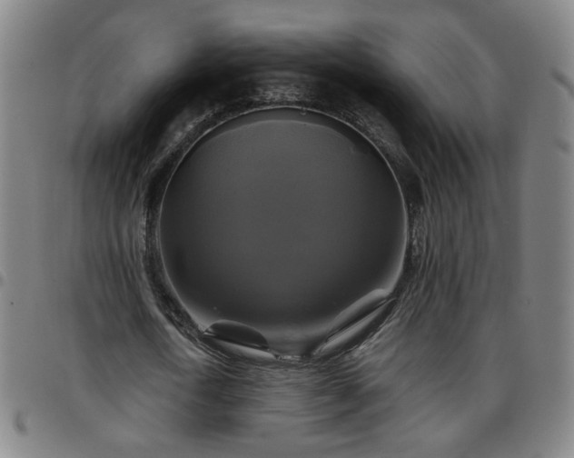 X0000096380722200801311258