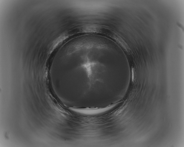X0000096380723200801311258